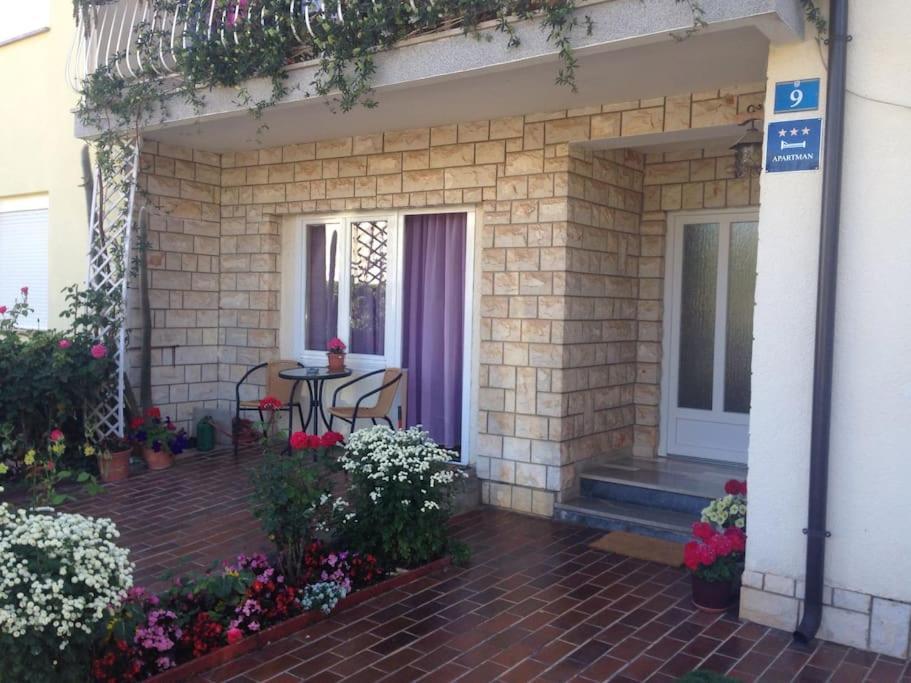 Apartament Melanie Umag